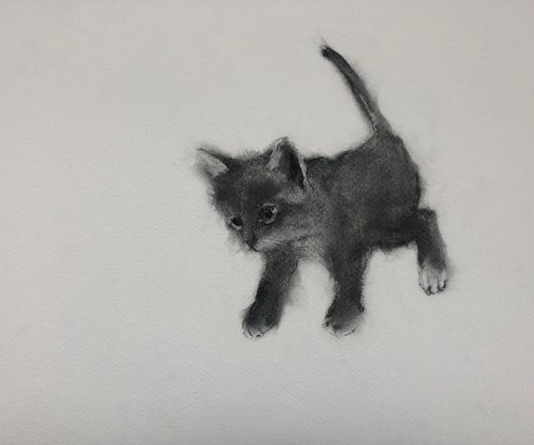 Little kitty (sold)